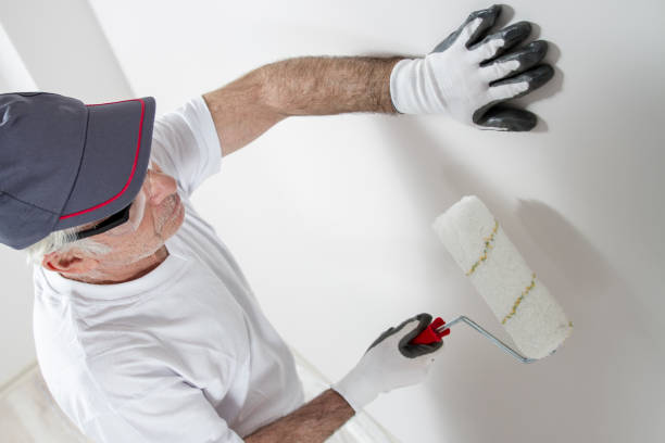 Best Water Damage & Mold Remediation  in Port Barre, LA