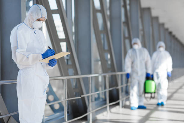 Best Airborne Mold Testing  in Port Barre, LA