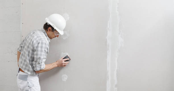 Best Black Mold Removal  in Port Barre, LA