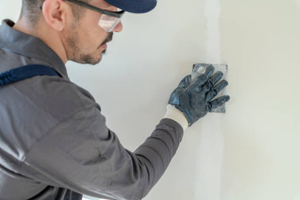 Best Mold Odor Removal Services  in Port Barre, LA