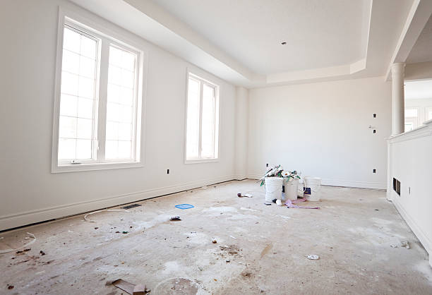Best Basement Mold Removal  in Port Barre, LA
