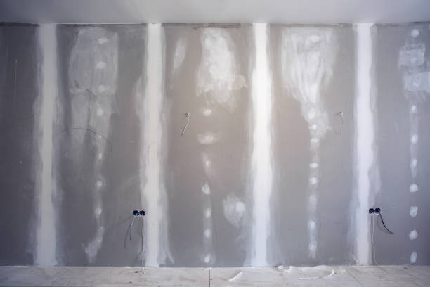 Best Commercial Mold Inspection  in Port Barre, LA